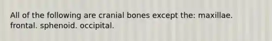 All of the following are cranial bones except the: maxillae. frontal. sphenoid. occipital.