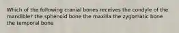 Which of the following cranial bones receives the condyle of the mandible? the sphenoid bone the maxilla the zygomatic bone the temporal bone