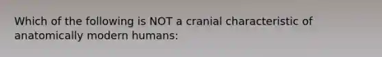 Which of the following is NOT a cranial characteristic of anatomically modern humans: