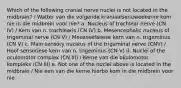 Which of the following cranial nerve nuclei is not located in the midbrain? / Watter van die volgende kraniaalsenuweekerne kom nie in die midbrein voor nie? a. Nucleus of trochlear nerve (CN IV) / Kern van n. trochlearis (CN IV) b. Mesencephalic nucleus of trigeminal nerve (CN V) / Mesensefaliese kern van n. trigeminus (CN V) c. Main sensory nucleus of the trigeminal nerve (CNV) / Hoof sensoriese kern van n. trigeminus (CN V) d. Nuclei of the oculomotor complex (CN III) / Kerne van die okulomotor kompleks (CN III) e. Not one of the nuclei above is located in the midbrain / Nie een van die kerne hierbo kom in die midbrein voor nie