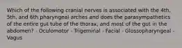 Which of the following cranial nerves is associated with the 4th, 5th, and 6th pharyngeal arches and does the parasympathetics of the entire gut tube of the thorax, and most of the gut in the abdomen? - Oculomotor - Trigeminal - Facial - Glossopharyngeal - Vagus