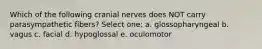 Which of the following cranial nerves does NOT carry parasympathetic fibers? Select one: a. glossopharyngeal b. vagus c. facial d. hypoglossal e. oculomotor