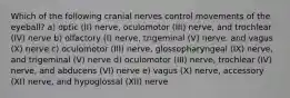 Which of the following cranial nerves control movements of the eyeball? a) optic (II) nerve, oculomotor (III) nerve, and trochlear (IV) nerve b) olfactory (I) nerve, trigeminal (V) nerve, and vagus (X) nerve c) oculomotor (III) nerve, glossopharyngeal (IX) nerve, and trigeminal (V) nerve d) oculomotor (III) nerve, trochlear (IV) nerve, and abducens (VI) nerve e) vagus (X) nerve, accessory (XI) nerve, and hypoglossal (XII) nerve