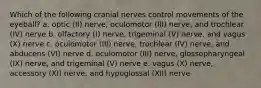 Which of the following cranial nerves control movements of the eyeball? a. optic (II) nerve, oculomotor (III) nerve, and trochlear (IV) nerve b. olfactory (I) nerve, trigeminal (V) nerve, and vagus (X) nerve c. oculomotor (III) nerve, trochlear (IV) nerve, and abducens (VI) nerve d. oculomotor (III) nerve, glossopharyngeal (IX) nerve, and trigeminal (V) nerve e. vagus (X) nerve, accessory (XI) nerve, and hypoglossal (XII) nerve