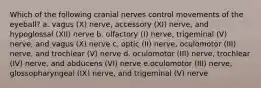 Which of the following cranial nerves control movements of the eyeball? a. vagus (X) nerve, accessory (XI) nerve, and hypoglossal (XII) nerve b. olfactory (I) nerve, trigeminal (V) nerve, and vagus (X) nerve c. optic (II) nerve, oculomotor (III) nerve, and trochlear (V) nerve d. oculomotor (III) nerve, trochlear (IV) nerve, and abducens (VI) nerve e.oculomotor (III) nerve, glossopharyngeal (IX) nerve, and trigeminal (V) nerve