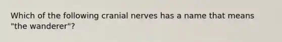 Which of the following cranial nerves has a name that means "the wanderer"?