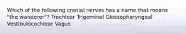 Which of the following cranial nerves has a name that means "the wanderer"? Trochlear Trigeminal Glossopharyngeal Vestibulocochlear Vagus