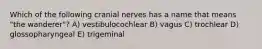 Which of the following cranial nerves has a name that means "the wanderer"? A) vestibulocochlear B) vagus C) trochlear D) glossopharyngeal E) trigeminal