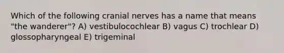 Which of the following <a href='https://www.questionai.com/knowledge/kE0S4sPl98-cranial-nerves' class='anchor-knowledge'>cranial nerves</a> has a name that means "the wanderer"? A) vestibulocochlear B) vagus C) trochlear D) glossopharyngeal E) trigeminal