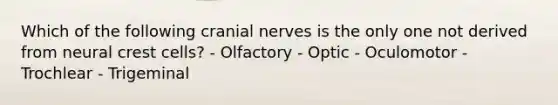 Which of the following cranial nerves is the only one not derived from neural crest cells? - Olfactory - Optic - Oculomotor - Trochlear - Trigeminal