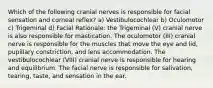 Which of the following cranial nerves is responsible for facial sensation and corneal reflex? a) Vestibulocochlear b) Oculomotor c) Trigeminal d) Facial Rationale: the Trigeminal (V) cranial nerve is also responsible for mastication. The oculomotor (III) cranial nerve is responsible for the muscles that move the eye and lid, pupillary constriction, and lens accommodation. The vestibulocochlear (VIII) cranial nerve is responsible for hearing and equilibrium. The facial nerve is responsible for salivation, tearing, taste, and sensation in the ear.