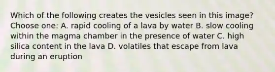 Which of the following creates the vesicles seen in this image?Choose one: A. rapid cooling of a lava by water B. slow cooling within the magma chamber in the presence of water C. high silica content in the lava D. volatiles that escape from lava during an eruption