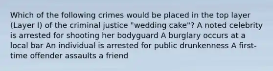 Which of the following crimes would be placed in the top layer (Layer I) of the criminal justice "wedding cake"? A noted celebrity is arrested for shooting her bodyguard A burglary occurs at a local bar An individual is arrested for public drunkenness A first-time offender assaults a friend