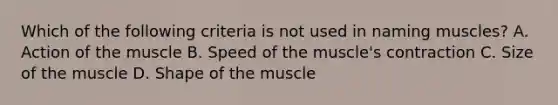 Which of the following criteria is not used in naming muscles? A. Action of the muscle B. Speed of the muscle's contraction C. Size of the muscle D. Shape of the muscle