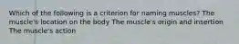 Which of the following is a criterion for naming muscles? The muscle's location on the body The muscle's origin and insertion The muscle's action