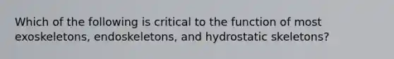 Which of the following is critical to the function of most exoskeletons, endoskeletons, and hydrostatic skeletons?