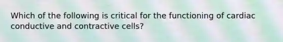 Which of the following is critical for the functioning of cardiac conductive and contractive cells?