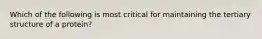 Which of the following is most critical for maintaining the tertiary structure of a protein?