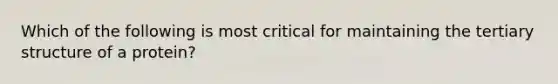 Which of the following is most critical for maintaining the tertiary structure of a protein?