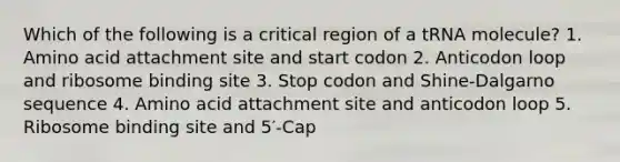 Which of the following is a critical region of a tRNA molecule? 1. Amino acid attachment site and start codon 2. Anticodon loop and ribosome binding site 3. Stop codon and Shine-Dalgarno sequence 4. Amino acid attachment site and anticodon loop 5. Ribosome binding site and 5′-Cap