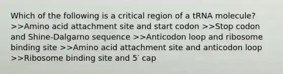 Which of the following is a critical region of a tRNA molecule? >>Amino acid attachment site and start codon >>Stop codon and Shine-Dalgarno sequence >>Anticodon loop and ribosome binding site >>Amino acid attachment site and anticodon loop >>Ribosome binding site and 5′ cap