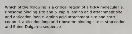 Which of the following is a critical region of a tRNA molecule? a. ribosome binding site and 5′ cap b. amino acid attachment site and anticodon loop c. amino acid attachment site and start codon d. anticodon loop and ribosome binding site e. stop codon and Shine-Dalgarno sequence