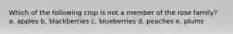 Which of the following crop is not a member of the rose family? a. apples b. blackberries c. blueberries d. peaches e. plums