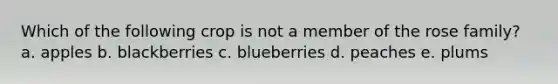 Which of the following crop is not a member of the rose family? a. apples b. blackberries c. blueberries d. peaches e. plums