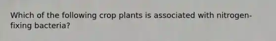 Which of the following crop plants is associated with nitrogen-fixing bacteria?