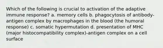 Which of the following is crucial to activation of the adaptive immune response? a. memory cells b. phagocytosis of antibody-antigen complex by macrophages in the blood (the humoral response) c. somatic hypermutation d. presentation of MHC (major histocompatibility complex)-antigen complex on a cell surface