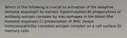 Which of the following is crucial to activation of the adaptive immune response? A) somatic hypermutation B) phagocytosis of antibody-antigen complex by macrophages in the blood (the humoral response) C) presentation of MHC (major histocompatibility complex)-antigen complex on a cell surface D) memory cells