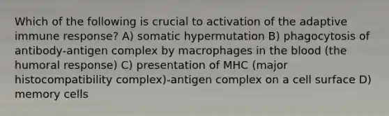 Which of the following is crucial to activation of the adaptive immune response? A) somatic hypermutation B) phagocytosis of antibody-antigen complex by macrophages in the blood (the humoral response) C) presentation of MHC (major histocompatibility complex)-antigen complex on a cell surface D) memory cells