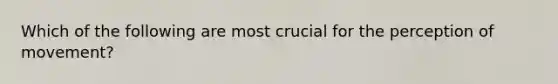 Which of the following are most crucial for the perception of movement?