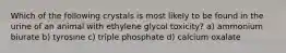 Which of the following crystals is most likely to be found in the urine of an animal with ethylene glycol toxicity? a) ammonium biurate b) tyrosine c) triple phosphate d) calcium oxalate