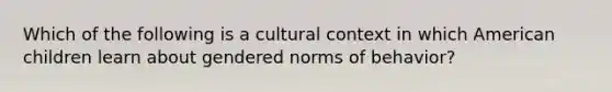 Which of the following is a cultural context in which American children learn about gendered norms of behavior?