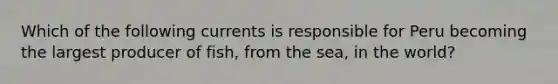 Which of the following currents is responsible for Peru becoming the largest producer of fish, from the sea, in the world?