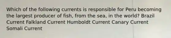 Which of the following currents is responsible for Peru becoming the largest producer of fish, from the sea, in the world? Brazil Current Falkland Current Humboldt Current Canary Current Somali Current