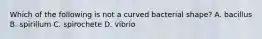 Which of the following is not a curved bacterial shape? A. bacillus B. spirillum C. spirochete D. vibrio