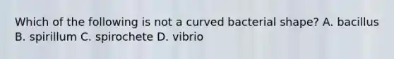 Which of the following is not a curved bacterial shape? A. bacillus B. spirillum C. spirochete D. vibrio