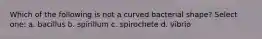 Which of the following is not a curved bacterial shape? Select one: a. bacillus b. spirillum c. spirochete d. vibrio