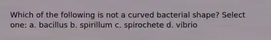 Which of the following is not a curved bacterial shape? Select one: a. bacillus b. spirillum c. spirochete d. vibrio