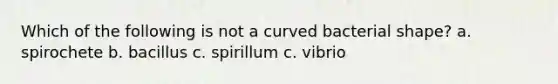 Which of the following is not a curved bacterial shape? a. spirochete b. bacillus c. spirillum c. vibrio