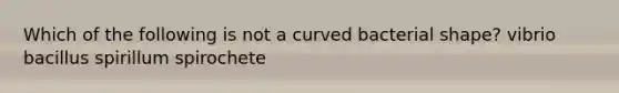 Which of the following is not a curved bacterial shape? vibrio bacillus spirillum spirochete