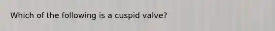 Which of the following is a cuspid valve?