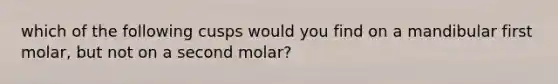 which of the following cusps would you find on a mandibular first molar, but not on a second molar?