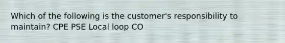 Which of the following is the customer's responsibility to maintain? CPE PSE Local loop CO