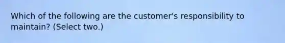 Which of the following are the customer's responsibility to maintain? (Select two.)