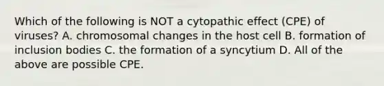 Which of the following is NOT a cytopathic effect (CPE) of viruses? A. chromosomal changes in the host cell B. formation of inclusion bodies C. the formation of a syncytium D. All of the above are possible CPE.