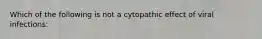 Which of the following is not a cytopathic effect of viral infections: