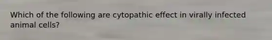 Which of the following are cytopathic effect in virally infected animal cells?